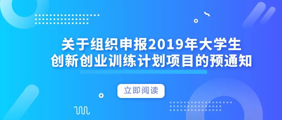 Token之都，区块链创新与社区活力的现状调研