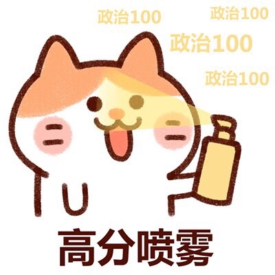 女生高考政治考出满分100