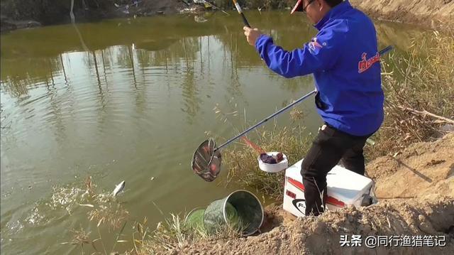 男童跌落深水区，钓鱼佬的英勇之举