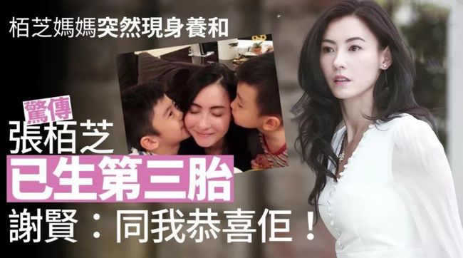 用Golang搞CBA数据库统计？这事儿我真干过，还挺上头
